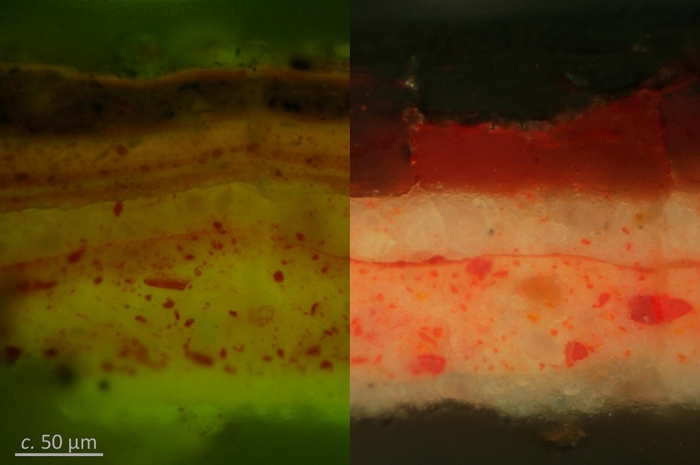 The left-hand and right-hand sides of the image show the same layers of paint in magnified cross section. The layers appear as horizontal stripes of white, pink, and red in various widths and shades, with irregularly sized reddish spots dispersed through the layers. The left-hand side is shaded with a greenish filter. When comparing the two sides, what appears to be a thicker red layer on the right-hand side of the image is revealed in the left-hand side to be made up of four or five thinner layers. A scale bar in the lower-left corner reads circa 50 micrometers and indicates that the full cross section comprising all the paint layers is approximately 200 micrometers thick.